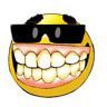 smilie_gr_48.gif